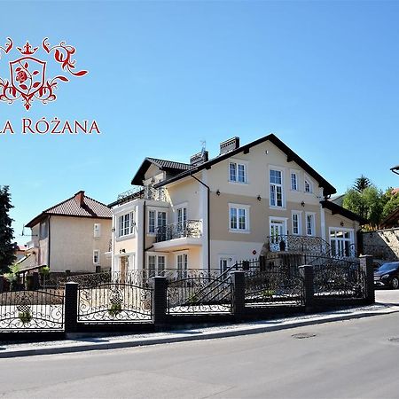 Willa Rozana - Apartamenty I Pokoje Goscinne 桑多梅日 外观 照片