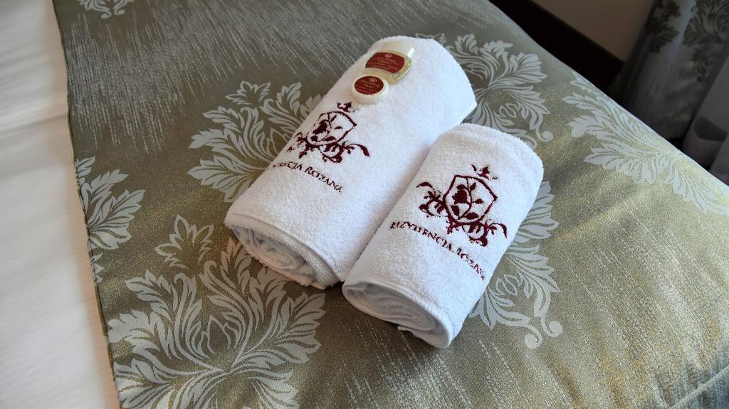 Willa Rozana - Apartamenty I Pokoje Goscinne 桑多梅日 外观 照片